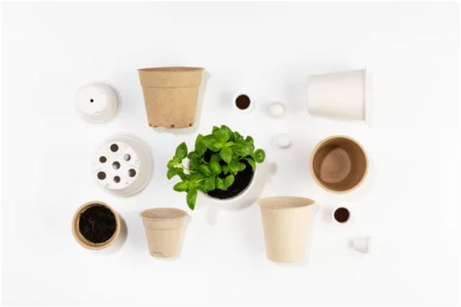 Bowls